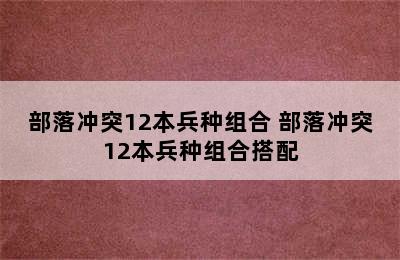 部落冲突12本兵种组合 部落冲突12本兵种组合搭配